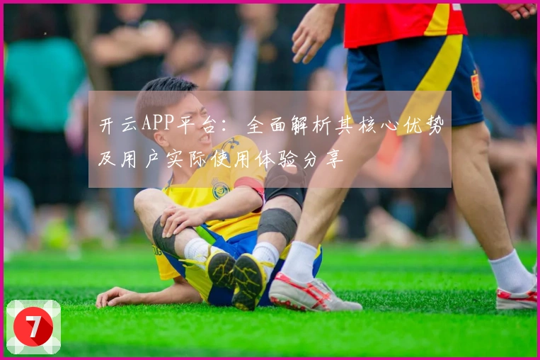 开云APP平台：全面解析其核心优势及用户实际使用体验分享