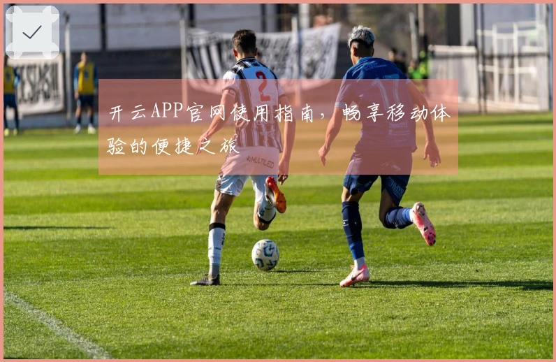 开云APP官网使用指南，畅享移动体验的便捷之旅